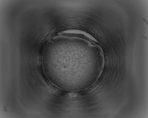 X0000093110272200710171229