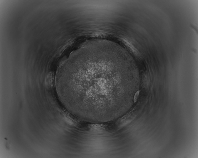 X0000093110273200710171229