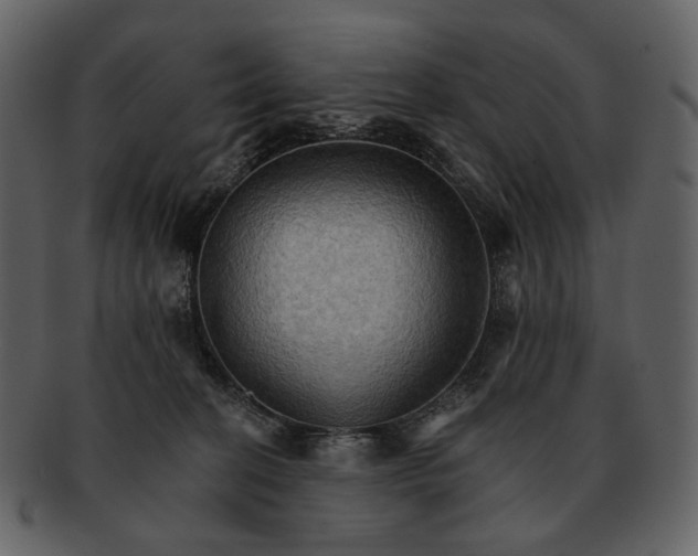 X0000093110274200710171229