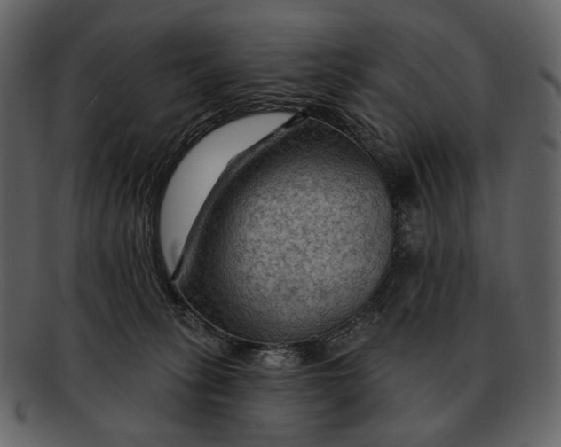 X0000093110275200710171229