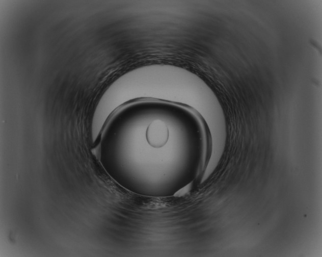 X0000093110276200710171229