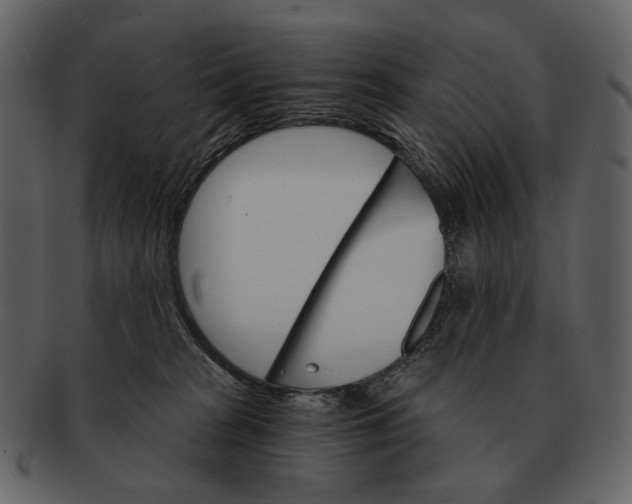 X0000093110277200710171229