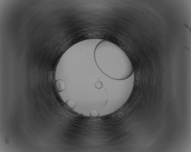 X0000093110278200710171229