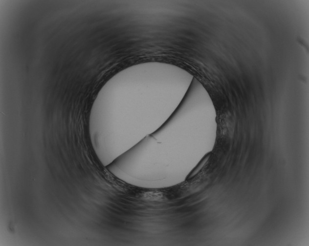 X0000093110279200710171229