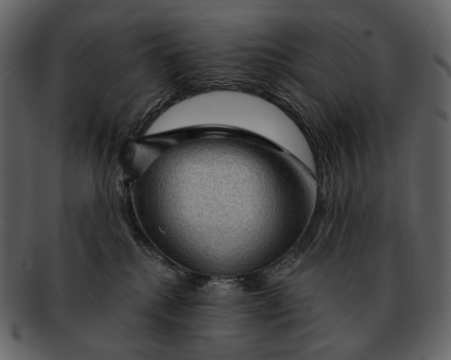 X0000093110280200710171229