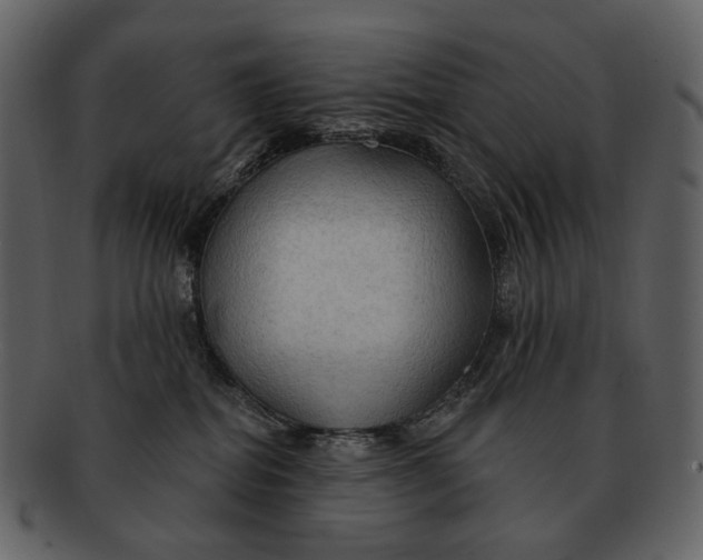 X0000093110282200710171229