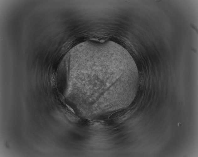 X0000093110285200710171229