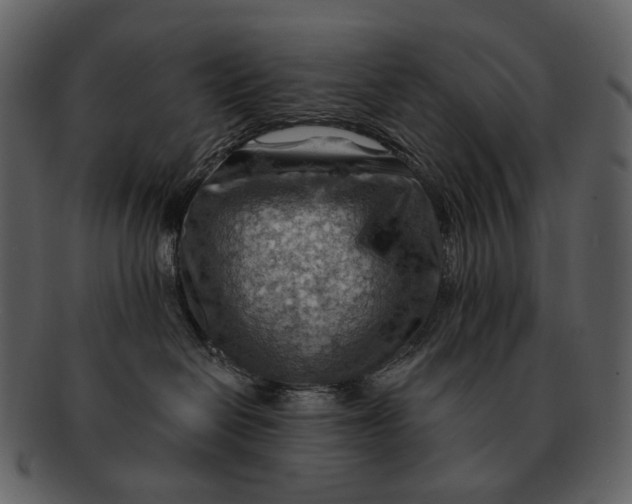 X0000093110286200710171229