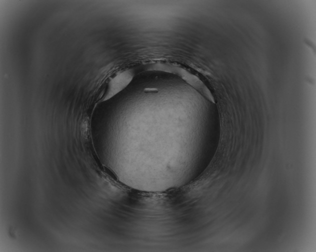 X0000093110288200710171229