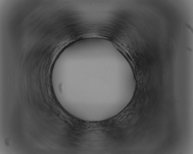 X0000093110289200710171229