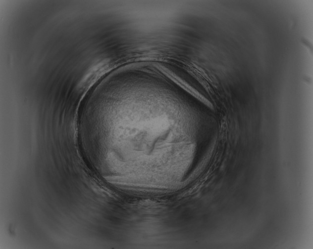 X0000093110290200710171229