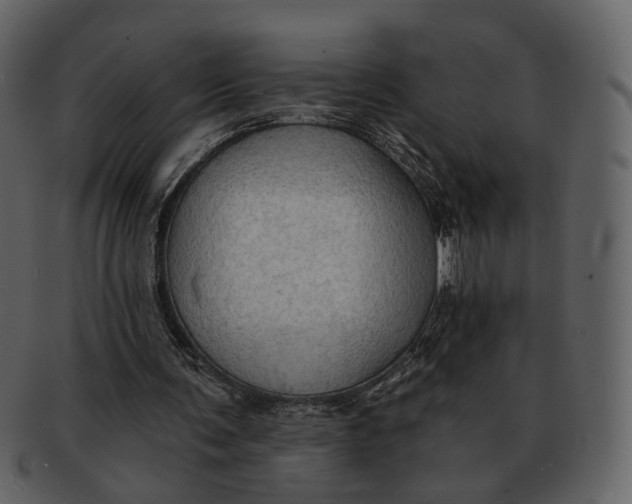 X0000093110291200710171229