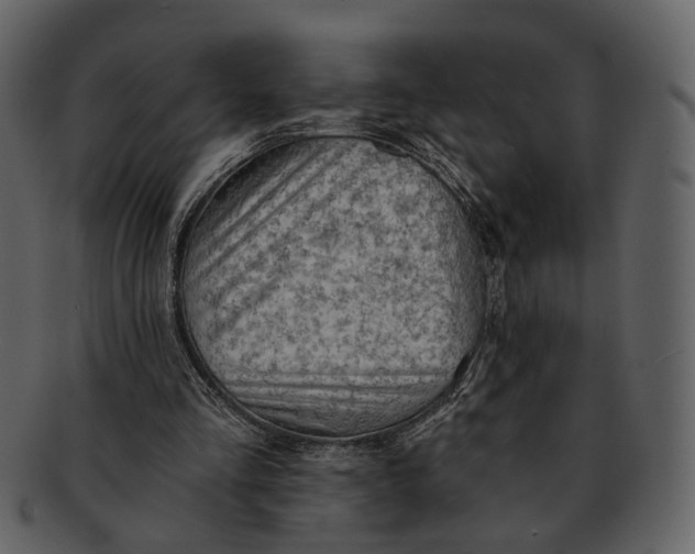 X0000093110293200710171229