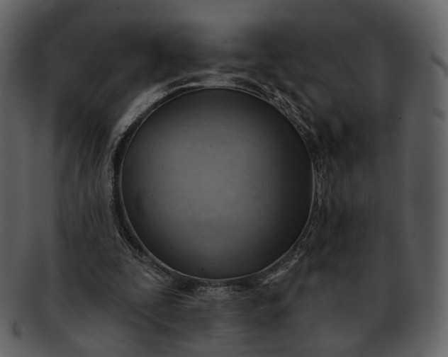 X0000093110295200710171229