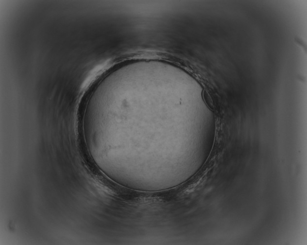 X0000093110296200710171229