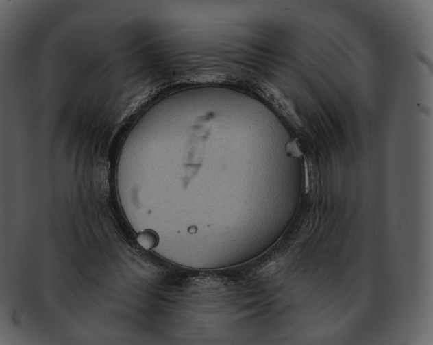 X0000093110300200710171229