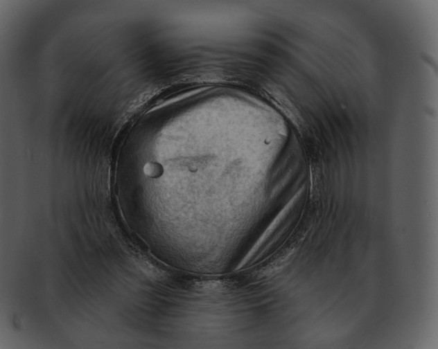 X0000093110301200710171228