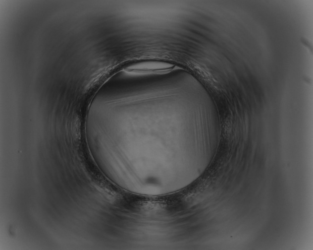 X0000093110303200710171228