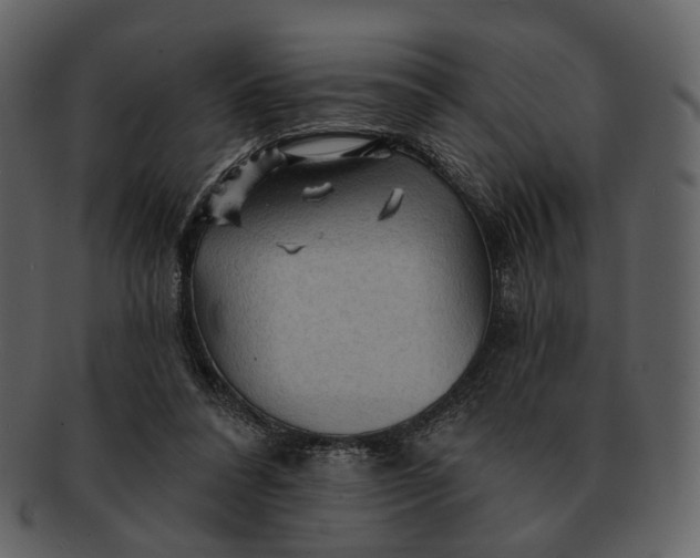 X0000093110304200710171228