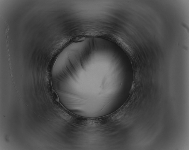 X0000093110305200710171228