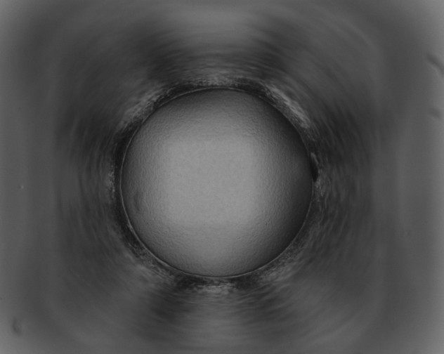 X0000093110306200710171228