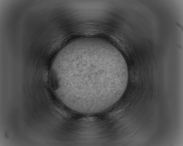 X0000093110307200710171228