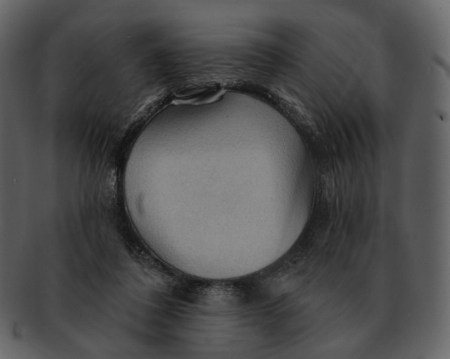 X0000093110308200710171228