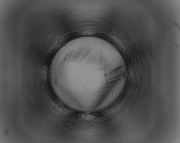 X0000093110311200710171228