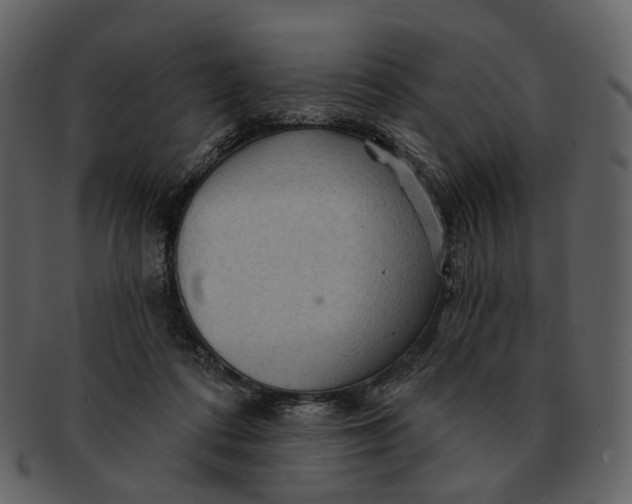 X0000093110312200710171228