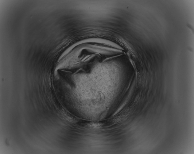 X0000093110313200710171228