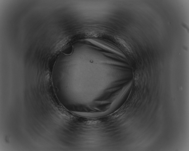 X0000093110314200710171228