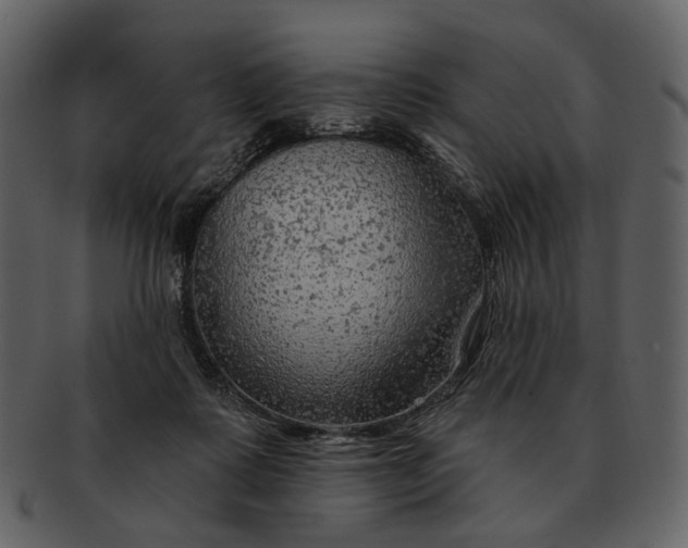 X0000093110315200710171228