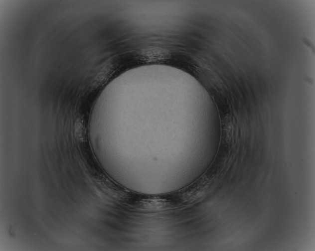 X0000093110316200710171228