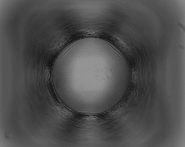 X0000093110318200710171228