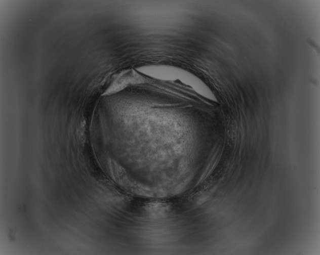 X0000093110319200710171228