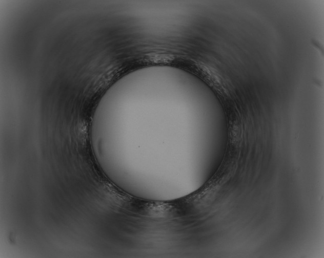 X0000093110321200710171228