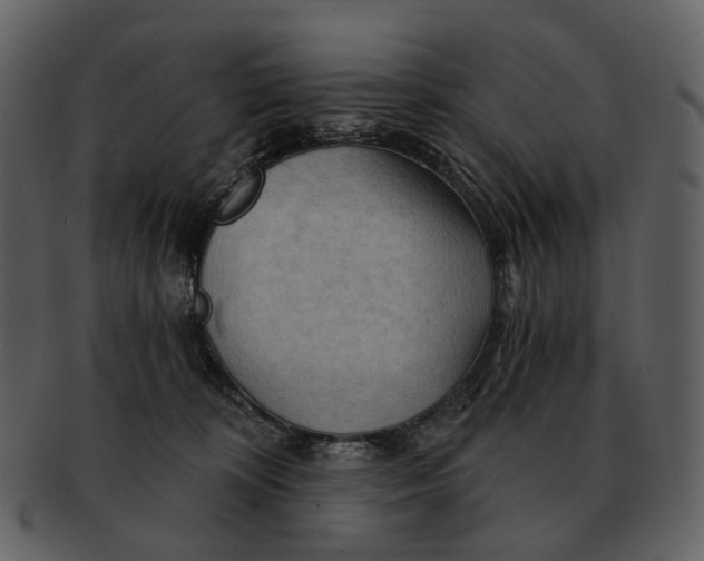 X0000093110324200710171228