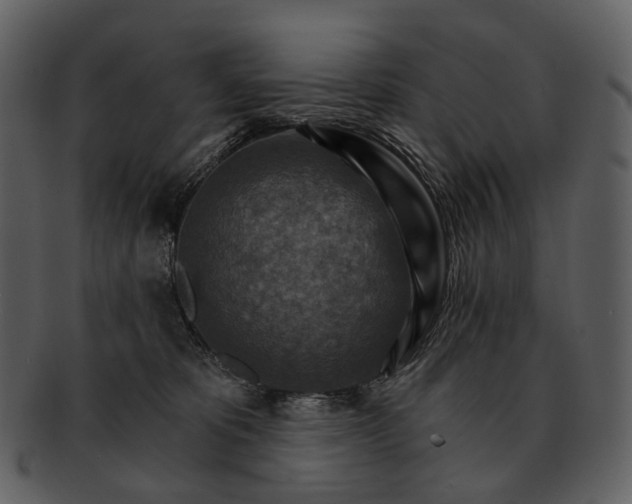 X0000093110325200710171228