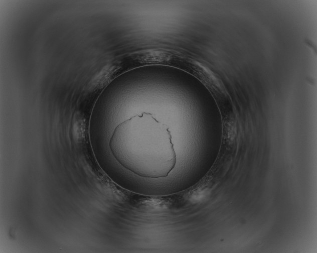 X0000093110326200710171228