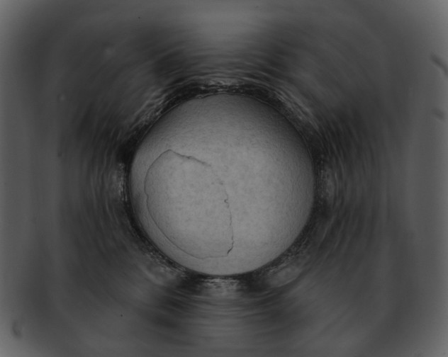 X0000093110328200710171228