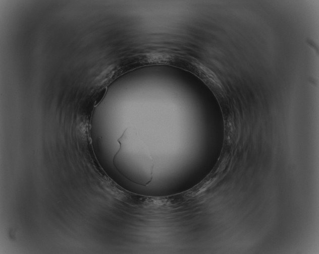 X0000093110329200710171228