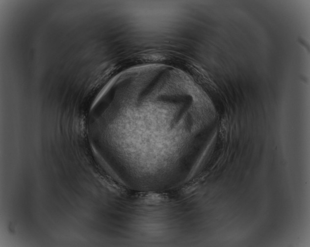 X0000093110330200710171228