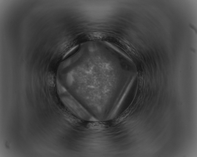 X0000093110331200710171228