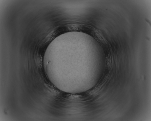 X0000093110332200710171228