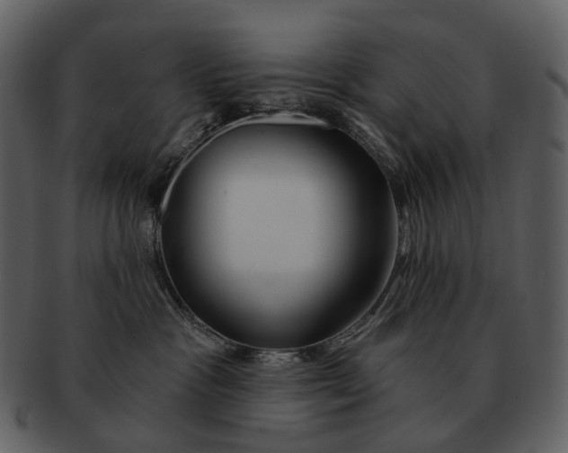 X0000093110333200710171228