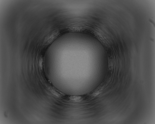 X0000093110334200710171228