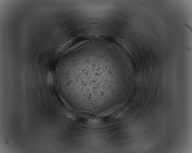 X0000093110335200710171228