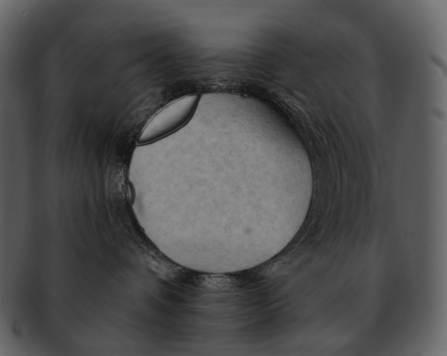 X0000093110336200710171228