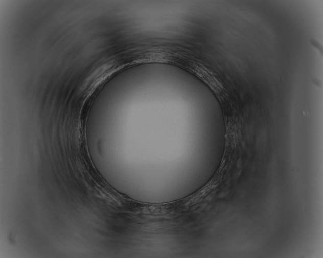 X0000093110338200710171227