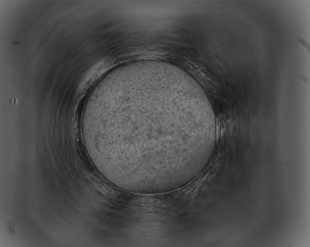 X0000093110339200710171227